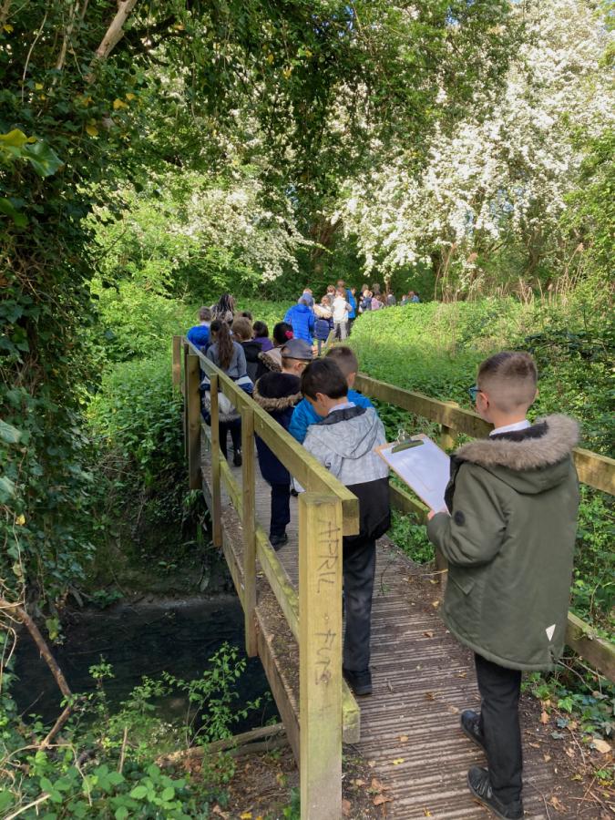 Children from Galfrid School visit the Chalk Stream